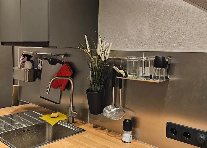 S22 Rrlux Free Parking * Riga